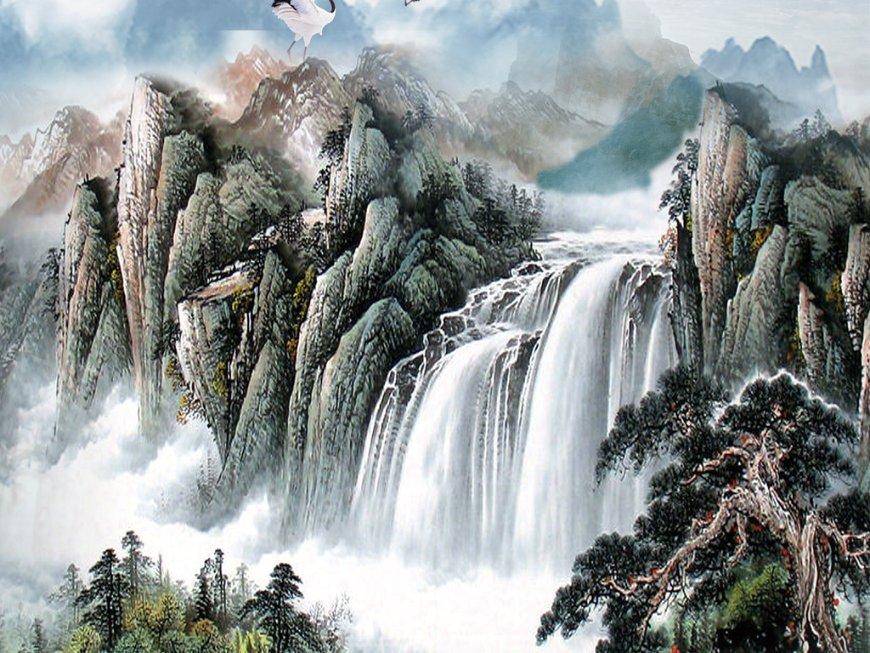 发现趣味,解答疑惑——如何找猫咪知识问答网站